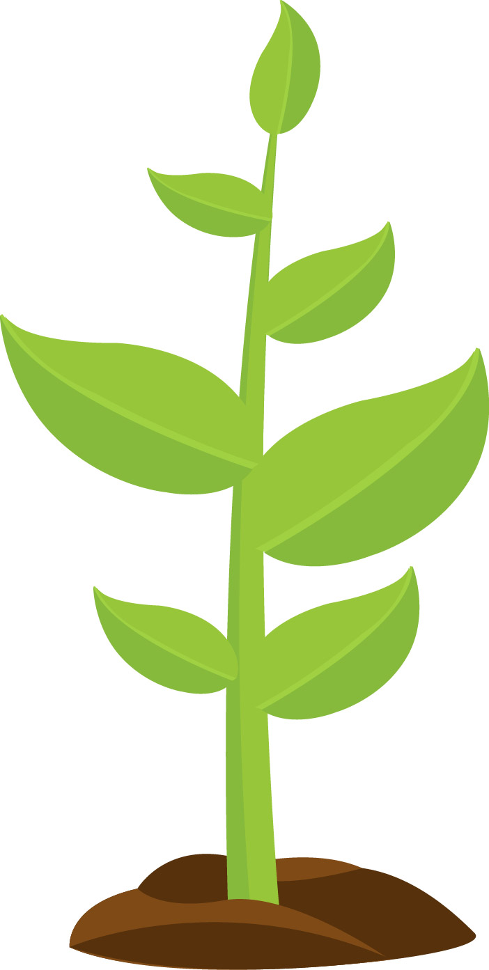 Entwicklung eines Klimatransitionsplans
