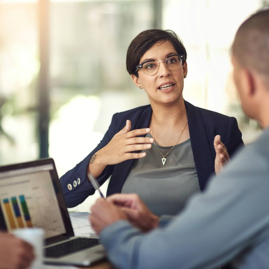 Ordentliche Revision