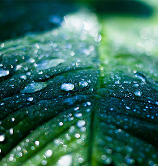 Sustainability At A Glance – IFRS Sustainability Disclosure Standards (30 June 2024)